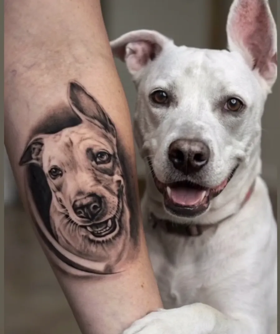 Retrato tatuado de un perro, trabajo de referencia